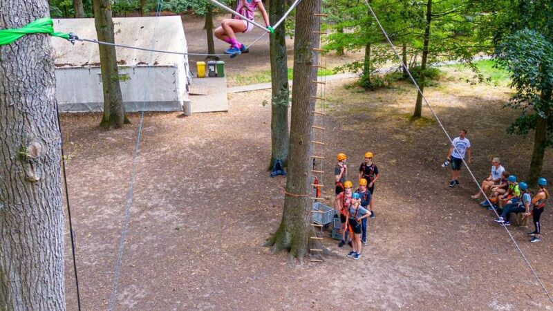 Kinder-Sommer im Kreis Kleve: „Wipfelstürmer“ erobern den Seilgarten am Eyller See