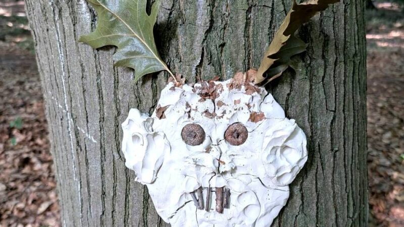 Baumgeister in Viersen: Kreative Kreaturen im Wald gesichtet
