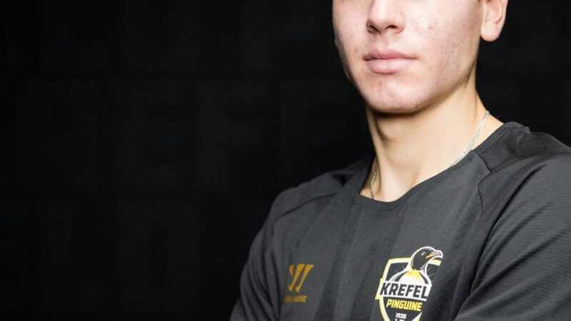 Erstes Training am Montag: Krefeld Pinguine kehren aufs Eis zurück – und präsentieren neuen Torhüter