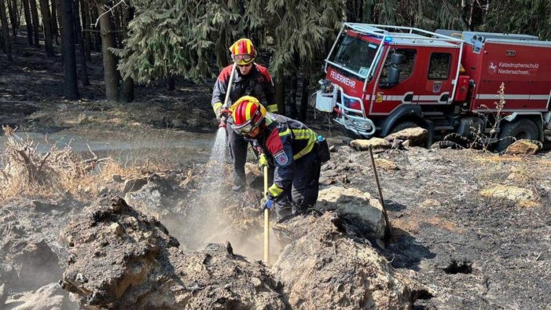 Aktueller Stand : Brände in Spanien: So geht es den Ratinger Feuerwehrleuten