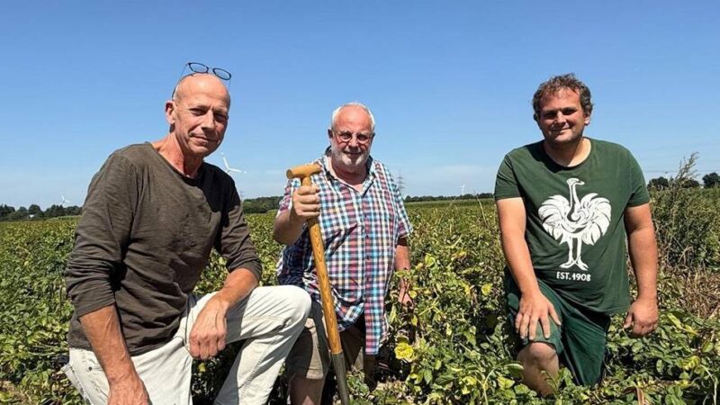 Wegen guter Ernte: „Es braucht Kartoffeln statt Bomben“ – Bauern planen riesige Hilfsaktion