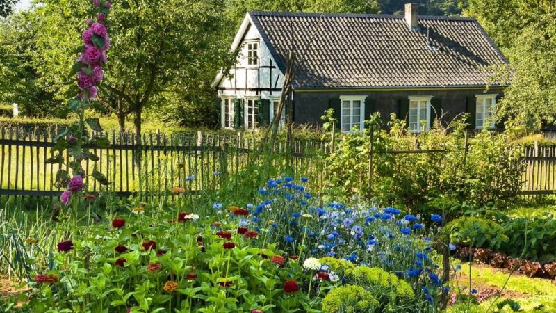 Oberbergischer Kreis: Spannende Führungen und Workshops im Freilichtmuseum