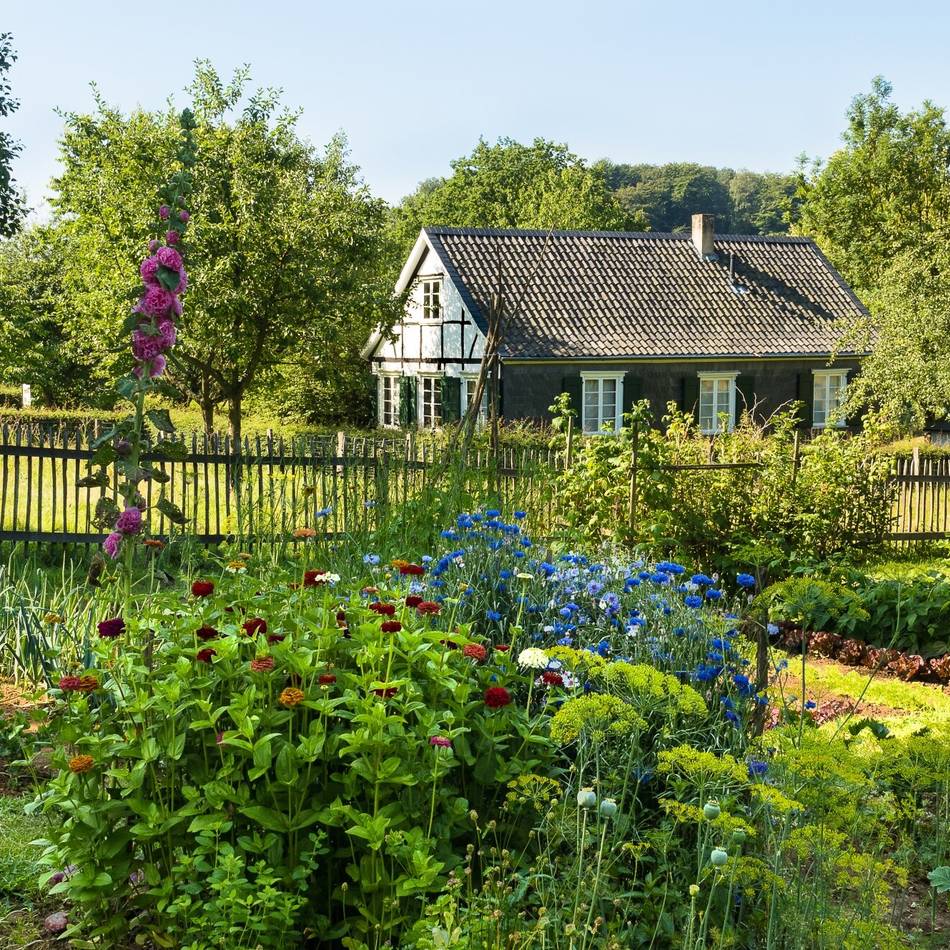 Oberbergischer Kreis: Spannende Führungen und Workshops im Freilichtmuseum