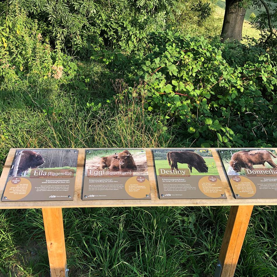 Neue Infotafeln am Eiszeitlichen Wildgehege: Tierinformationen garniert mit einem Schuss Gehege-Klatsch