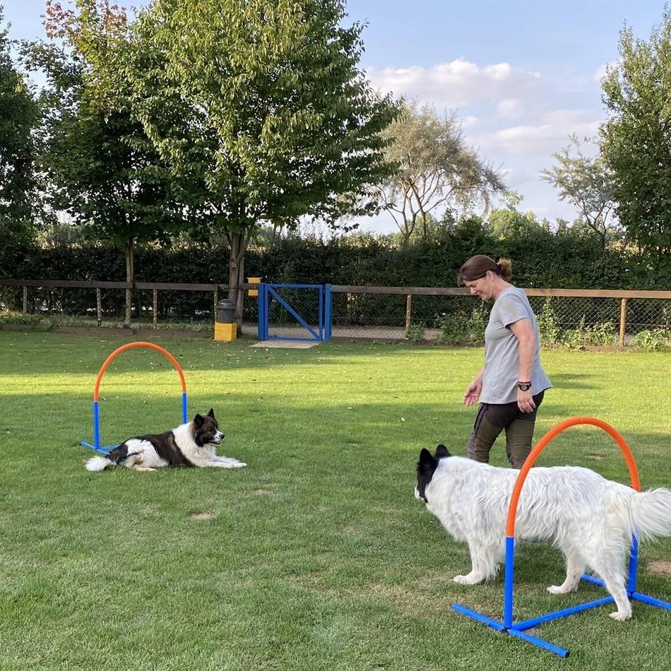 Jubiläumsfeier in Schiefbahn: Hundeschule lädt zum „Tag des Hundes“ ein