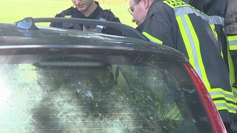 Scheibe eingeschlagen: Feuerwehr befreit Hunde in Kranenburg aus Hitzefalle