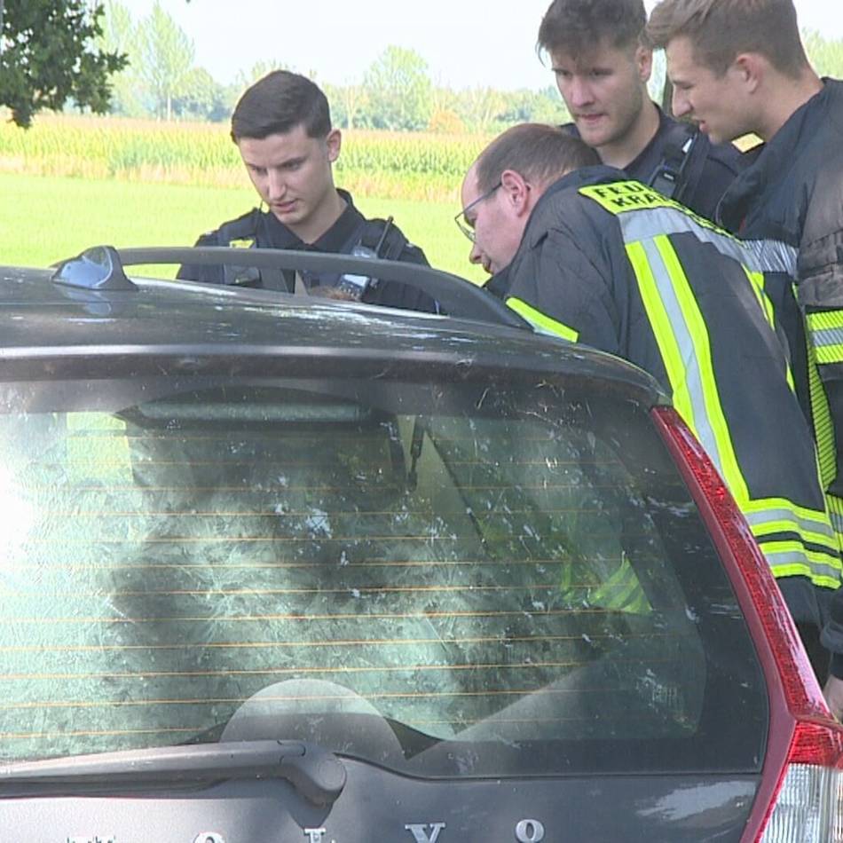 Scheibe eingeschlagen: Feuerwehr befreit Hunde in Kranenburg aus Hitzefalle