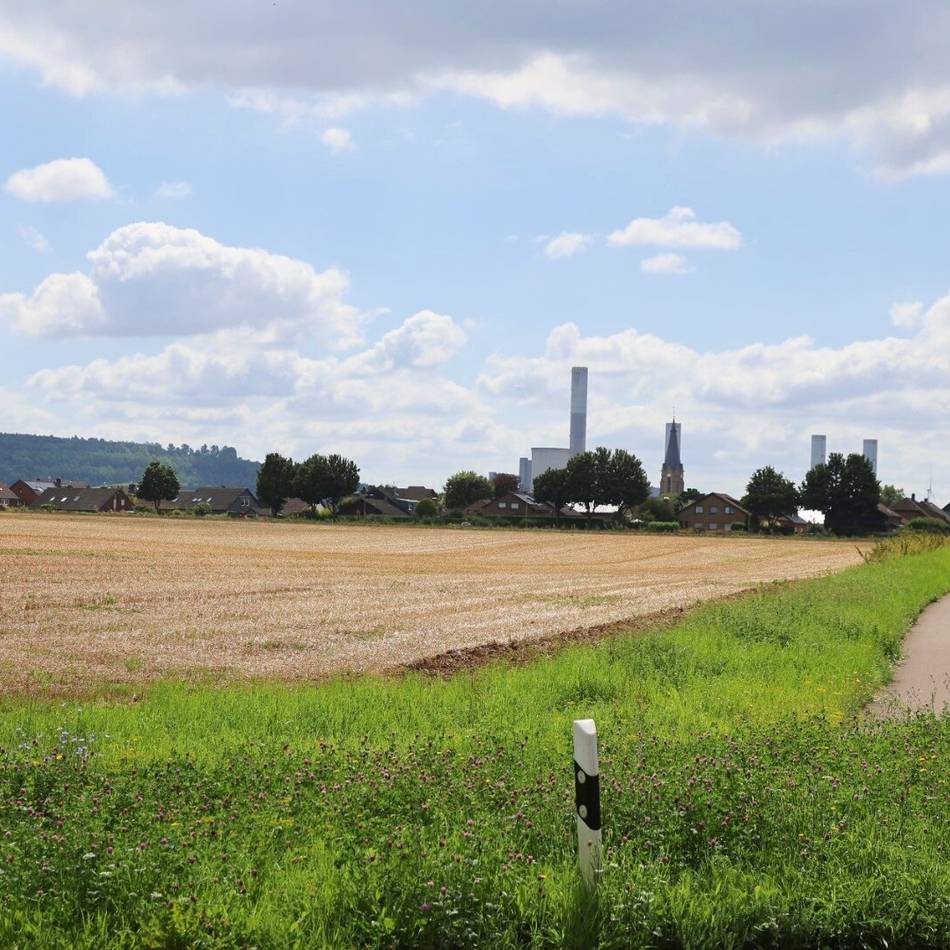 300 neue Wohnungen in Gustorf: FDP fordert zusätzliche Anbindung des Neubaugebiets