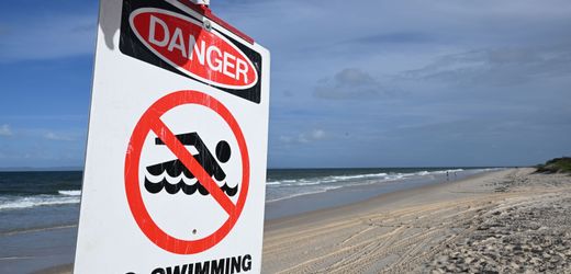 Sydney: Surfer stirbt nach mutmaßlicher Hai-Attacke