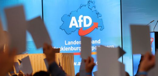 Mecklenburg-Vorpommern: AfD laut Umfrage bei 38 Prozent