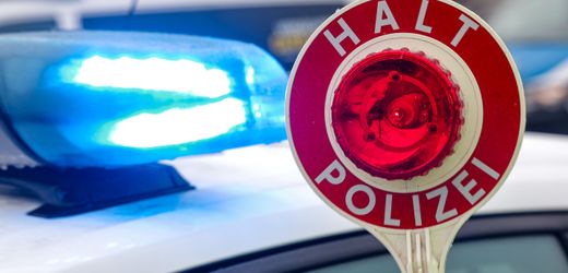 Reichenbach: Kutscher aus Sachsen rammt mit 1 PS Polizeiauto und bleibt im Matsch stecken
