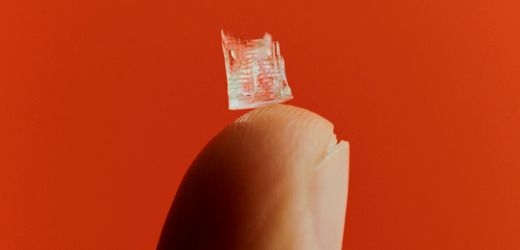 Bioprinting: Wie Forscher Ersatzteile für den Körper drucken