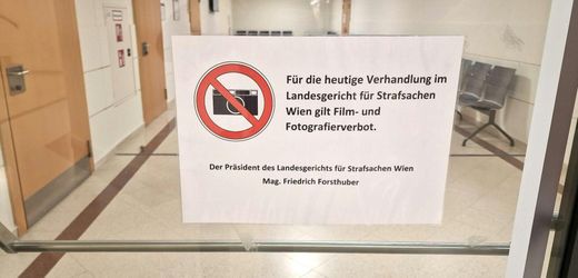 Wien: Zehn Angeklagte im Prozess um mutmaßlichen sexuellen Missbrauch einer Zwölfjährigen freigesprochen