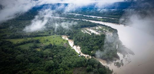 Umweltschutz: 142 Aktivisten 2024 weltweit getötet laut Global Witness