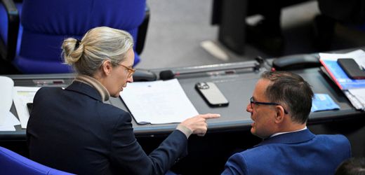 Bundestag: AfD-Fraktionsmitarbeiter wegen rassistischem Angriff auf Flüchtlinge vorbestraft