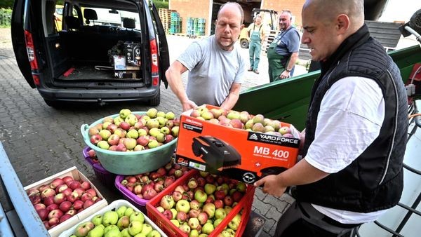 Zukunftssorgen trotz goldener Ernte bei Süßmosterei Dalbeck