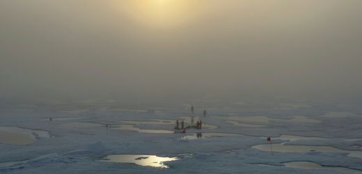 Arktis: Forscher entdecken Hinweise auf drohenden Ökokollaps im Eismeer