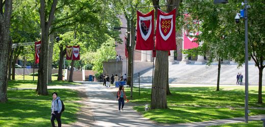 Universitäten in den USA: Regierung unter Donald Trump will Finanzen von Harvard stärker überwachen