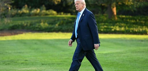Donald Trump erklärt Antifa zu »Terroristen«: Kann man eine Idee verbieten?