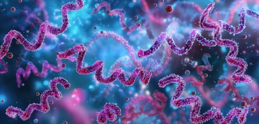 Syphilis: Diagnosen erreichen neuen Höchststand in Deutschland – Hamburg als Hochburg
