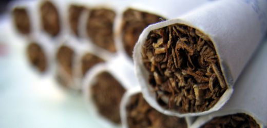 Italien: Riesige illegale Zigarettenfabrik in Italien entdeckt