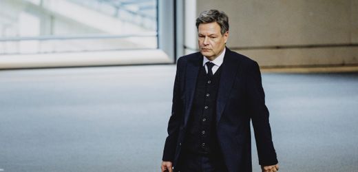 Grüne: Realos und Parteilinke ringen um Kurs nach Abschied von Robert Habeck