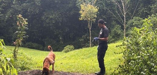 Costa Rica: Getötete Frau als Österreicherin identifiziert