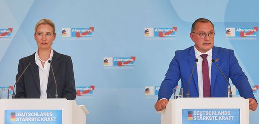 AfD-Fraktion will Wehrpflicht wiedereinführen