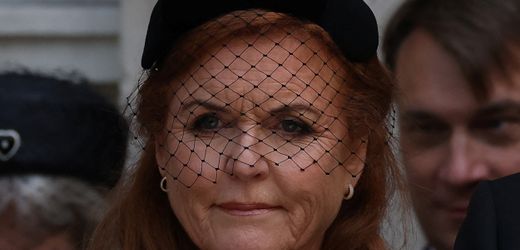 Fall Jeffrey Epstein: Wohltätigkeitsorganisationen distanzieren sich von Sarah Ferguson