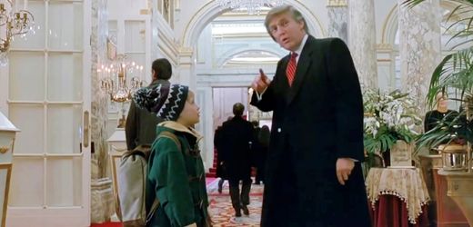 Woody Allen lobt Donald Trump: Wenn Schauspieler Politik machen (und andersrum)