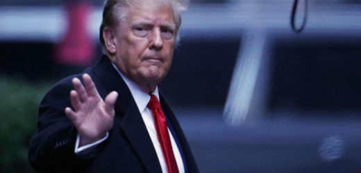 Donald Trump: US-Gericht bestätigt, dass US-Präsident 83 Millionen Dollar Schadensersatz zahlen muss
