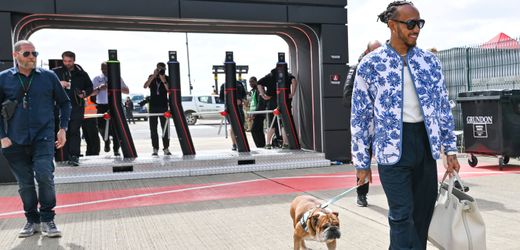 Formel-1-Star Lewis Hamilton in großer Sorge um Bulldogge Roscoe
