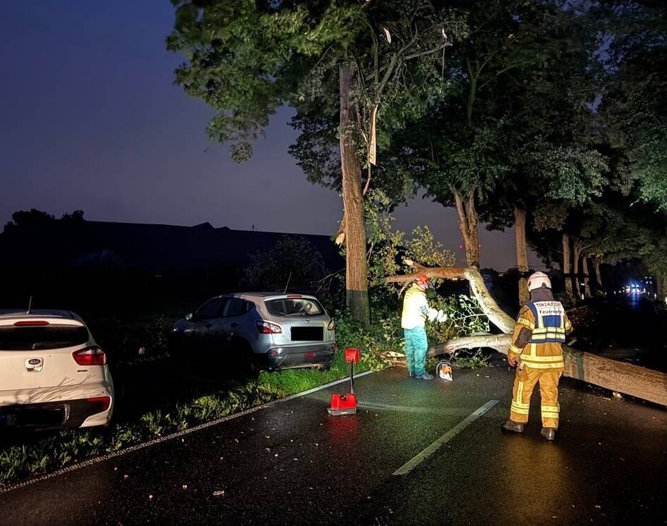 Anrather Straße in Vorst: Umstürzender Baum sorgt für Verkehrsunfall