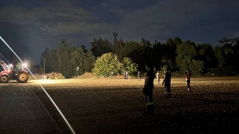 Ungewöhnliche Tierrettung: Feuerwehr Kalkar fängt 18 entlaufene Kühe ein