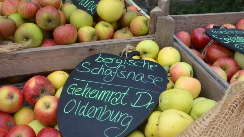 Oberbergischer Kreis: Freilichtmuseum lädt ein zum Obstwiesenfest