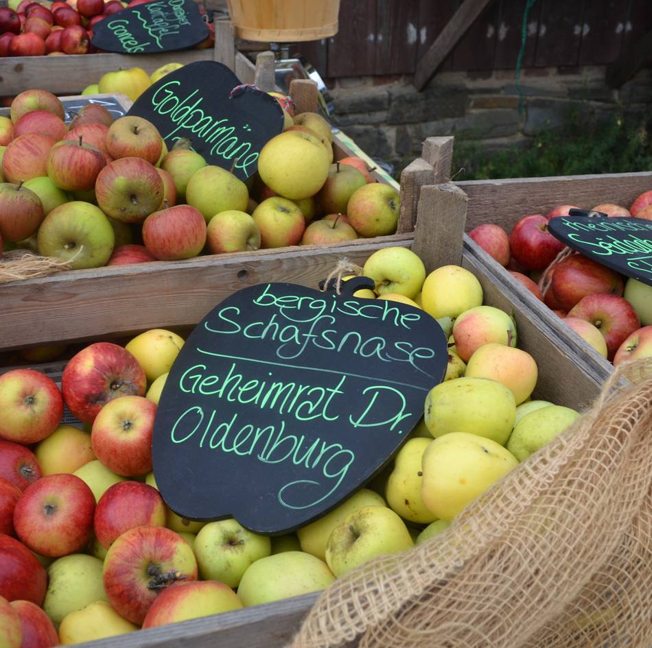 Oberbergischer Kreis: Freilichtmuseum lädt ein zum Obstwiesenfest