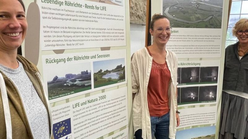 Im Rathaus Kalkar: Ausstellung über Flora und Fauna des selten gewordenen Röhricht