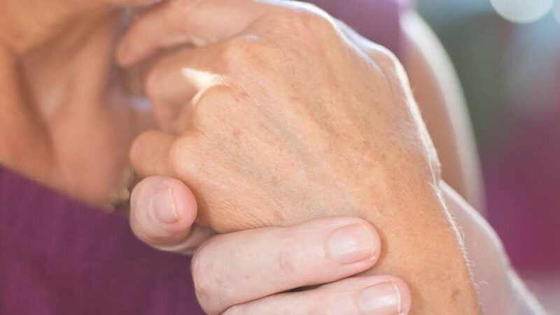 Aktionstag „Urlaub ohne Koffer“: Austausch und Unterstützung für Menschen mit Demenz und ihre Angehörigen