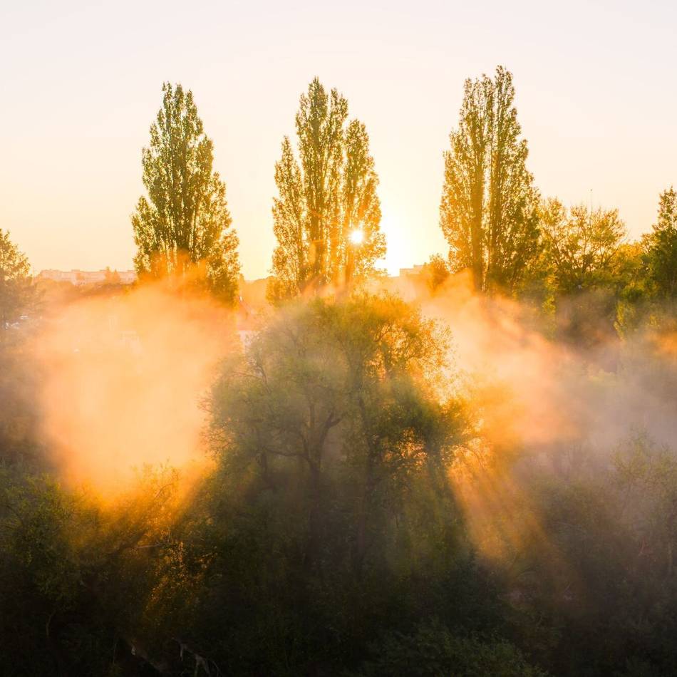 Seelische Gesundheit: 15 Tipps für den Herbst – was der Seele guttut