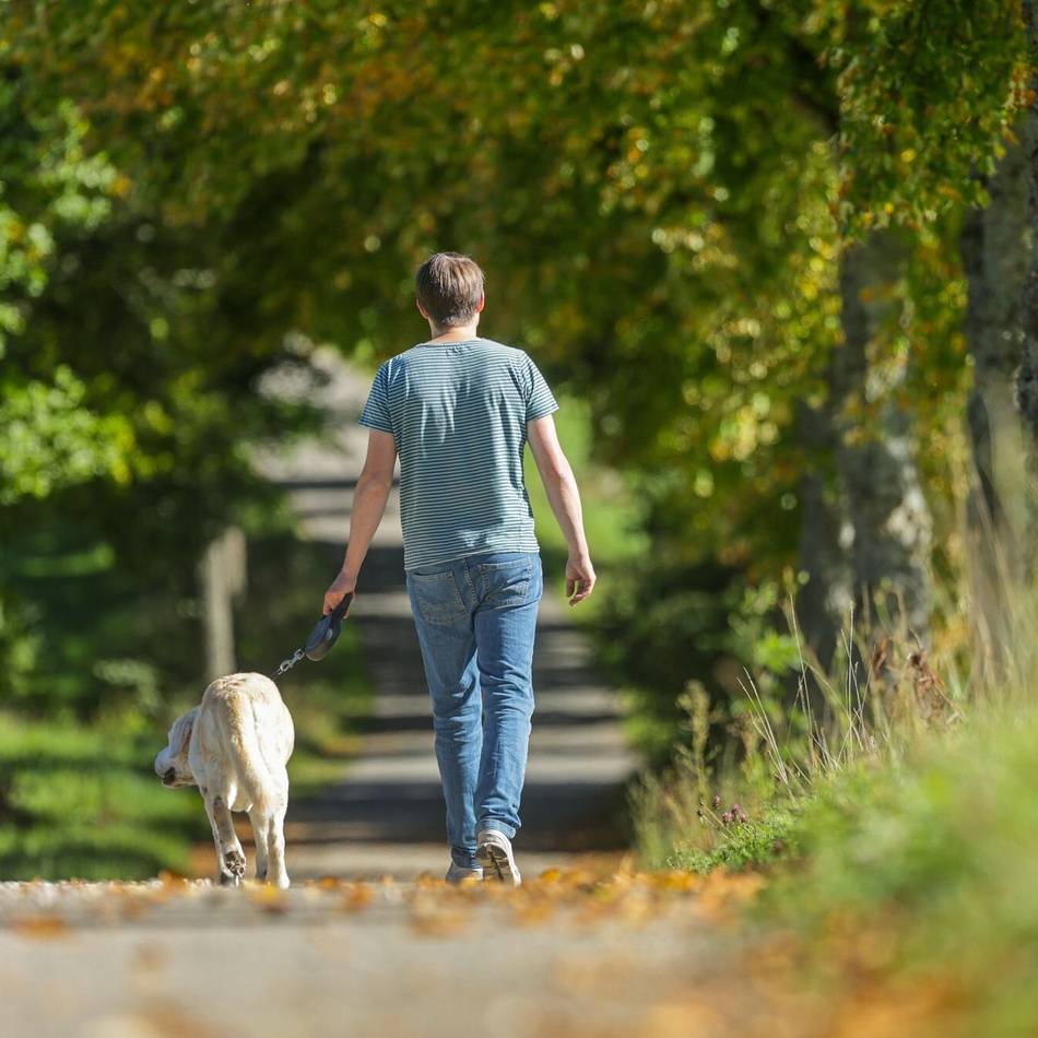 Gesprächsabend in Lank-Latum: Hundeexpertin zu Gast in Meerbusch
