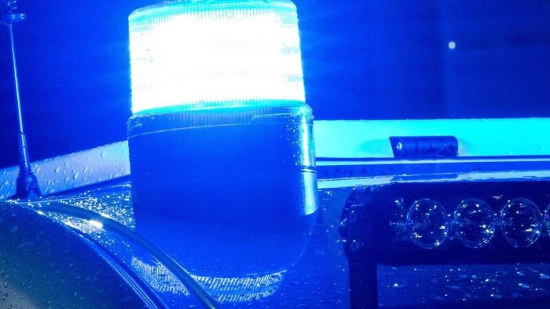 Polizeieinsatz in Wesel: Ehepaar begegnet Exhibitionisten im Wald – Fahndung erfolgreich