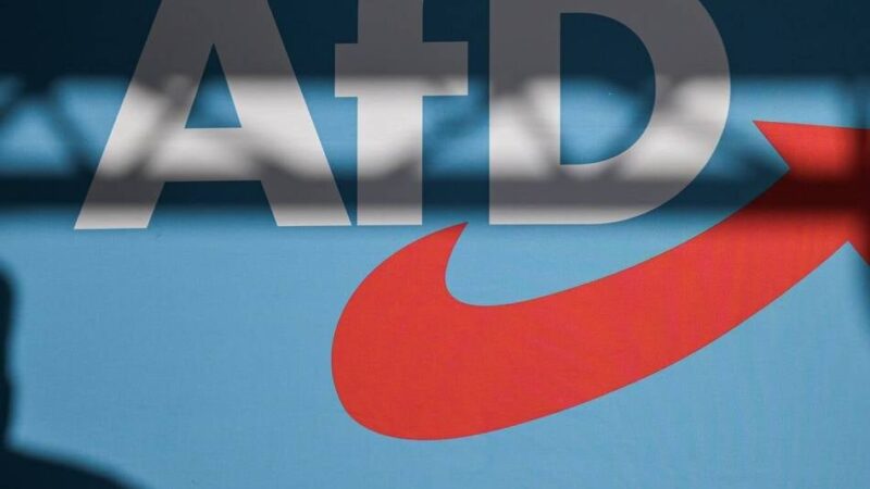 Unsere Woche: Die AfD säht Zwietracht – und die anderen Parteien lassen das zu