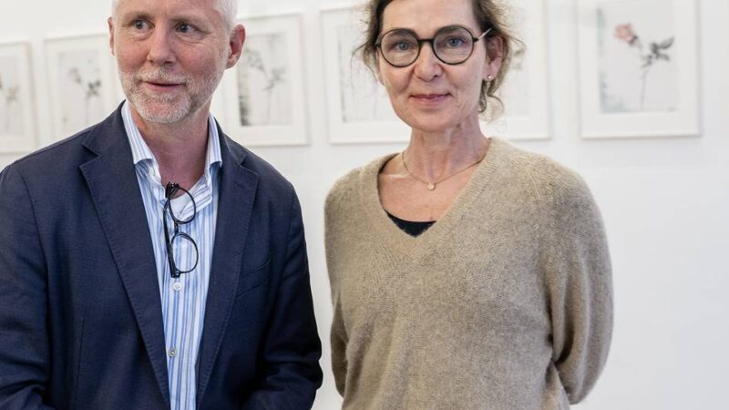 Schenkungen von Sabine Moritz für Fiftyfifty: Blumen gegen die Not