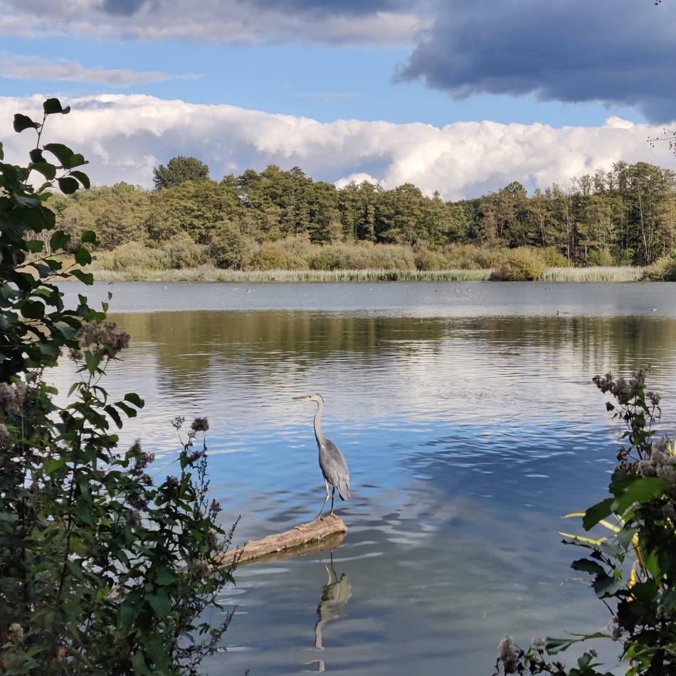 Leitlinien für Biodiversität: Kreis will Vorbild bei Naturschutz sein