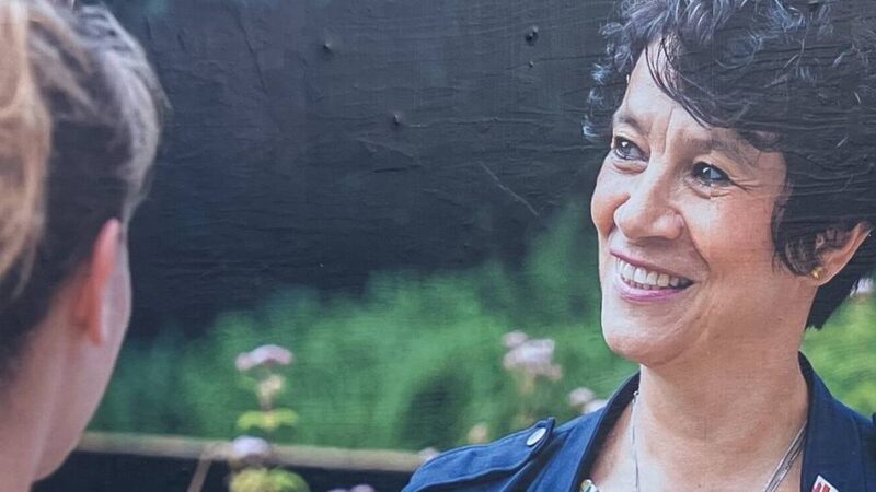Am Sonntag in Dinslaken: Stichwahl – das empfehlen die Grünen