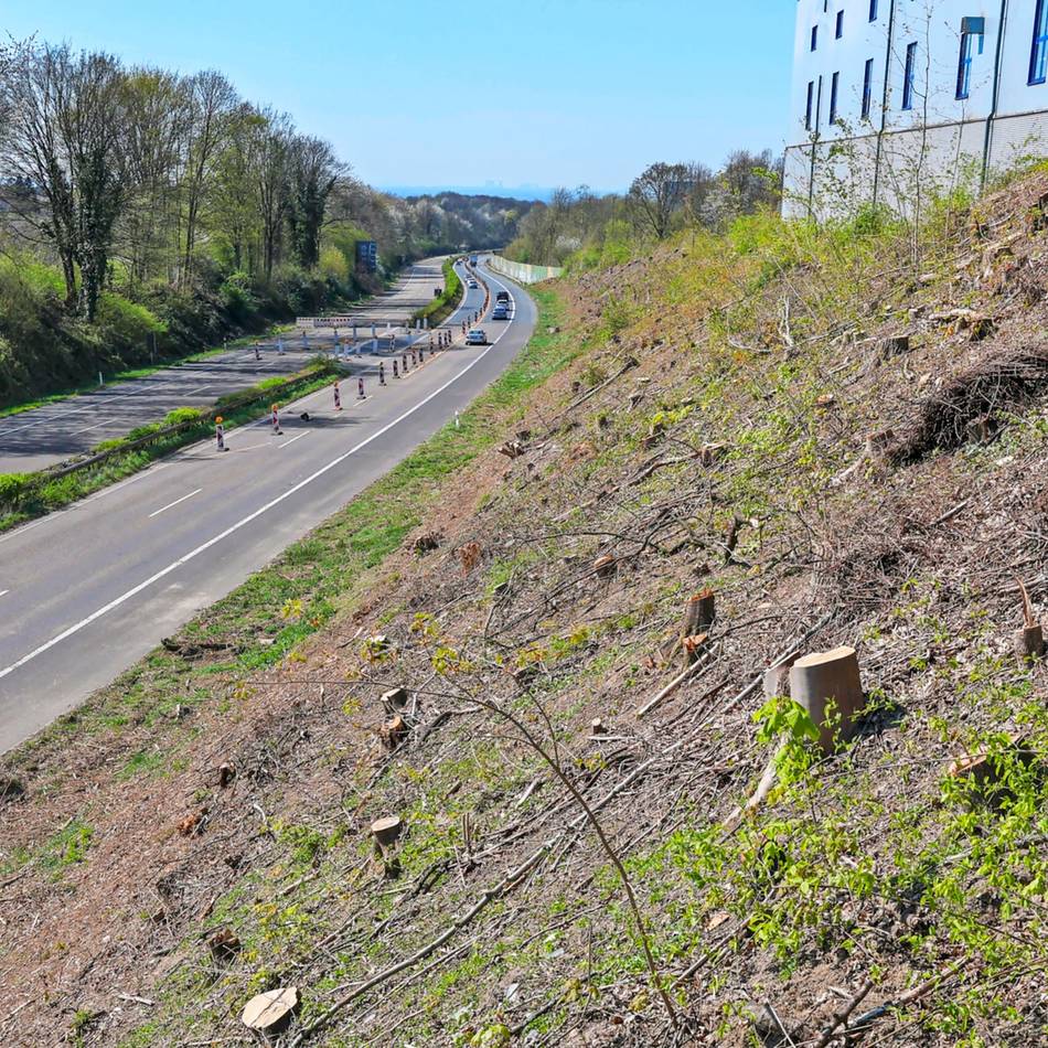 Vorstoß der Grünen im Umweltausschuss: Bekommt die Viehbachtalstraße in Solingen einen Solarpark?
