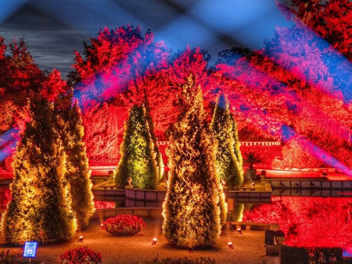 Schlossgärten Arcen: Ein herbstliches Blütenmeer