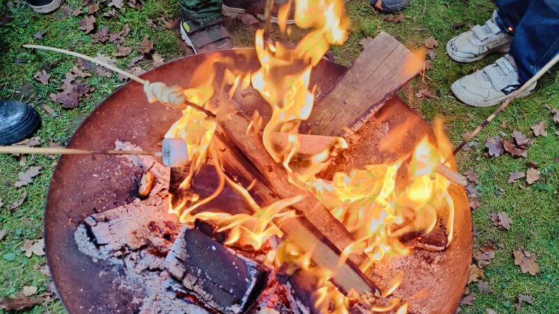 Tipps vom Pfadfinder-Stammesführer Stephan Kiener: Die besten Snacks für ein Lagerfeuer im eigenen Garten