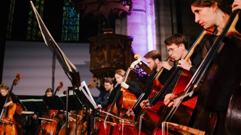 Düsseldorf-Festival: Bass erstaunt