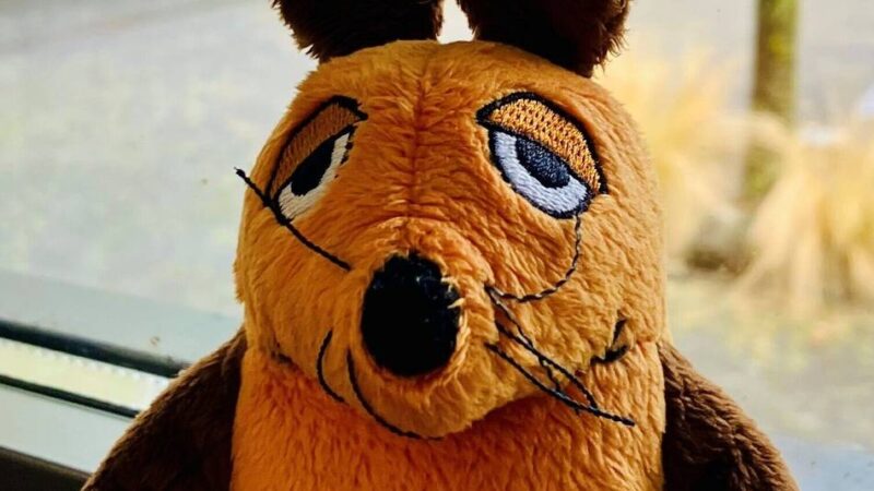 Mitmachen, Ausprobieren, Erleben: Wasserburg Rindern macht die „Türen auf mit der Maus“